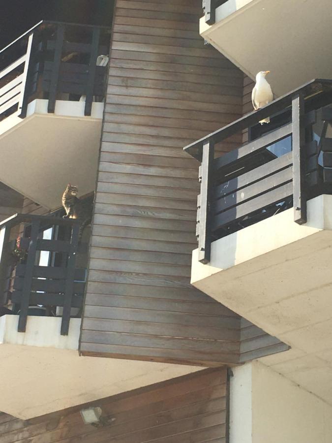 Mon Balcon Face A La Mer - Les Marinas Deauville Exteriör bild